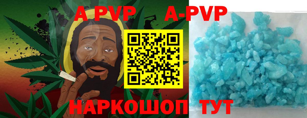 А ПВП СК КРИС Сыктывкар