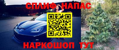 Альфа ПВП Северобайкальск