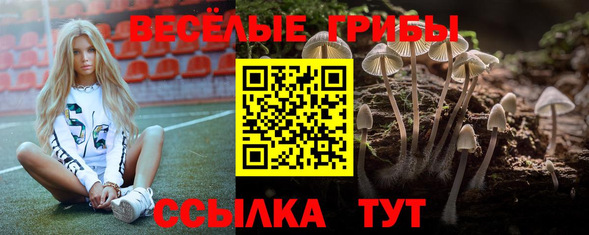 Галлюциногенные грибы ЛСД Сыктывкар