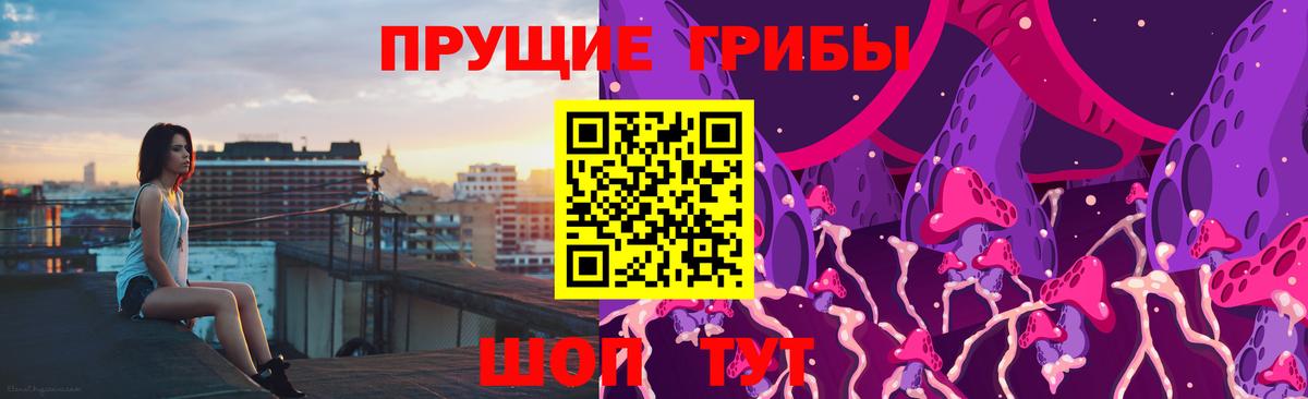 Сыктывкар  Галлюциногенные грибы прущие грибы  Вход с VPN  Галлюциногенные грибы мицелий 